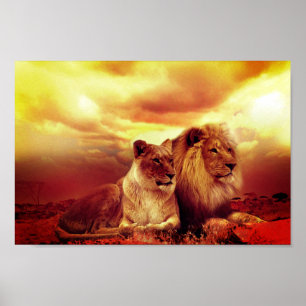 Póster Leones