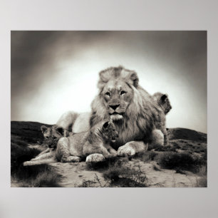 Póster Leones