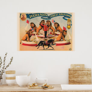 Póster Leones de circo, ilustración vintage,