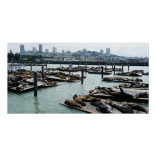 Póster Leones marinos de San Francisco y Pier 39 Panorama