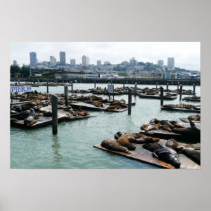 Póster Leones marinos del Pier 39 y panorama urbano de Sa