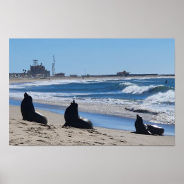 Póster Leones marinos en la playa