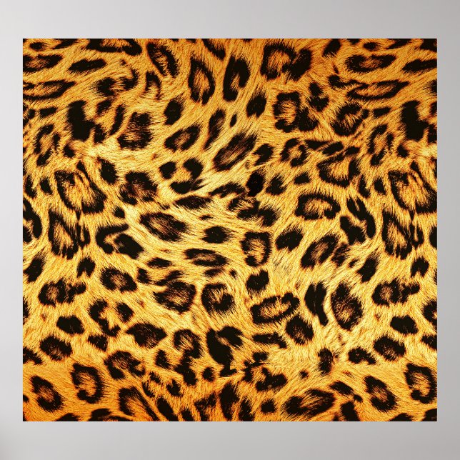 Póster Leopard de moda: Patrón de diseño de piel. (Frente)