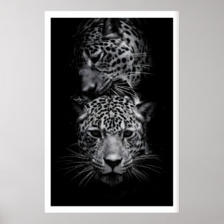 Póster Leopard Faces Print Black and White Wildlife Art