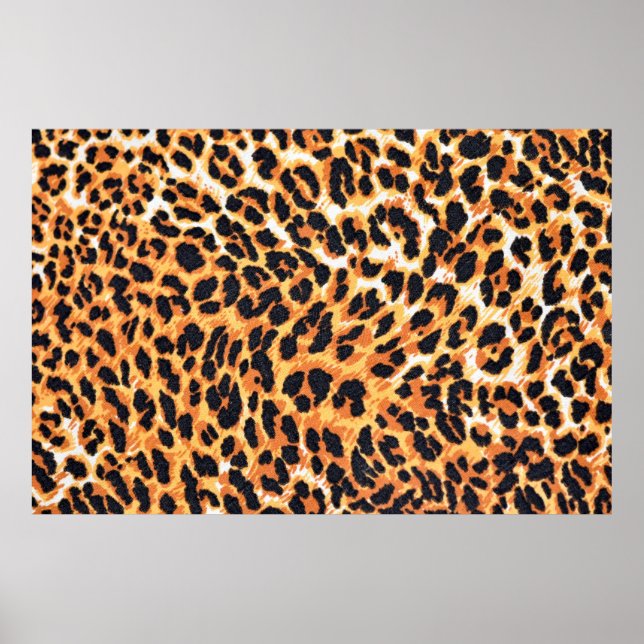 Póster leopard fur as backgroundleopard,pattern,print,ski (Frente)