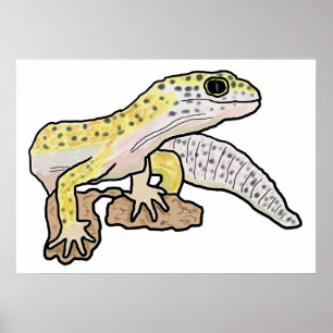 Póster Leopard Gecko
