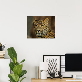 Póster Leopard Lovers Art