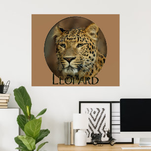 Póster Leopard Lovers Art