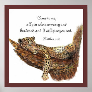Póster Leopard Scripts Matthew Te Da Rest
