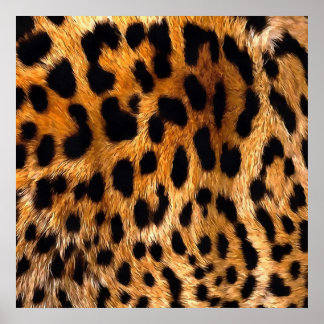 Póster Leopard Spots Black Brown Wild Animal Fine Art