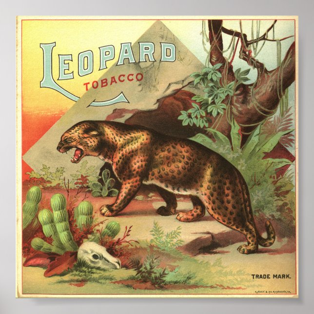 Póster Leopard Tobacco 1900 (Frente)