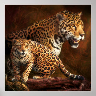 PÓSTER LEOPARD "WILD NIGHT"