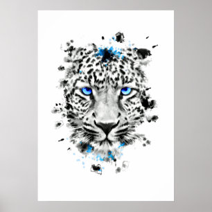 Póster Leopardo con los ojos azules