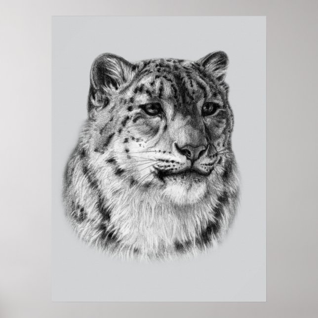 Póster Leopardo de la nieve de mano (Frente)