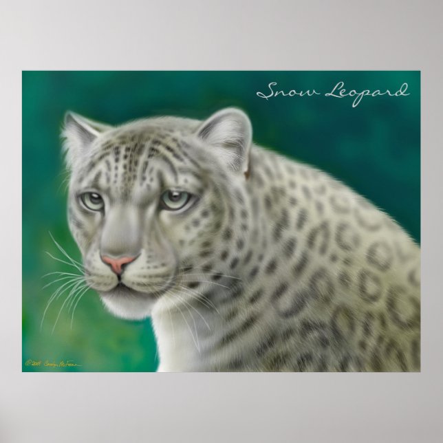 Póster Leopardo de la nieve en peligro (Frente)