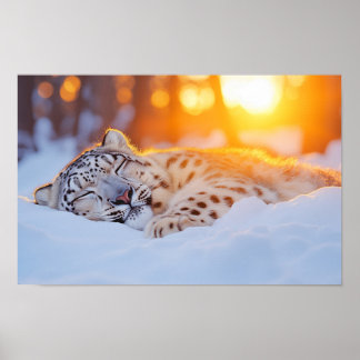 Póster Leopardo de las Nieves Animal Salvaje Entorno Natu