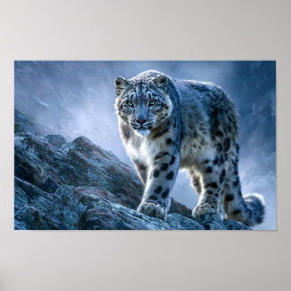 Póster Leopardo de las Nieves en la Cima de una Montaña –
