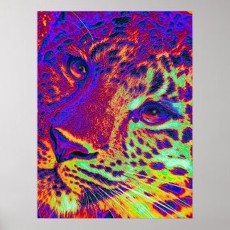 Póster leopardo de las nubes