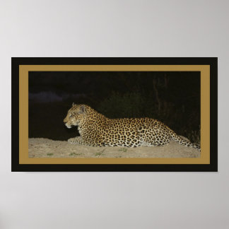 Póster Leopardo en la orilla de la arena