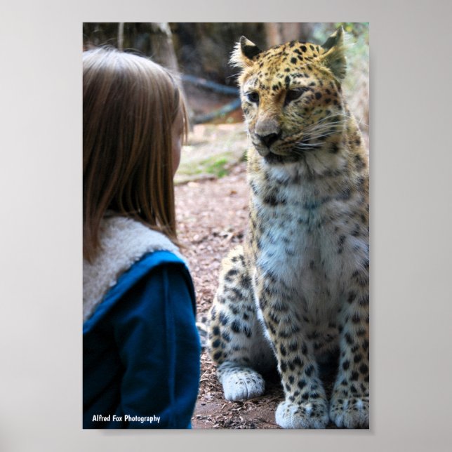 Póster Leopardo y Niño (Frente)