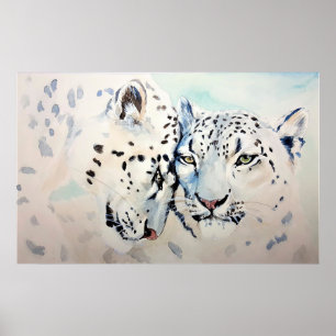 Póster Leopardos de la nieve