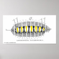 Lepidoptera Pittsburghia-Zazzle, www.zazzle.com...