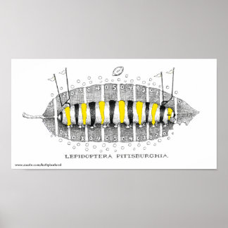 Póster Lepidoptera Pittsburghia-Zazzle, www.zazzle.com...