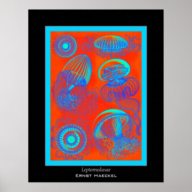 Póster Leptomedusae ~ Ernst Haeckel Print (Frente)
