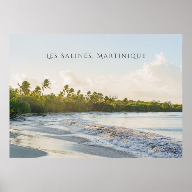Póster Les Salines beach Martinique Scenic travel  (Frente)