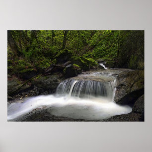 Póster Let it Flow 36 x 24 Poster
