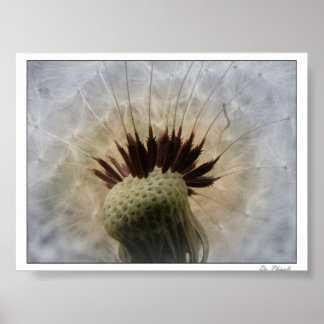 Póster Let The Breeze Carry Me