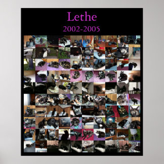 Póster Lethe