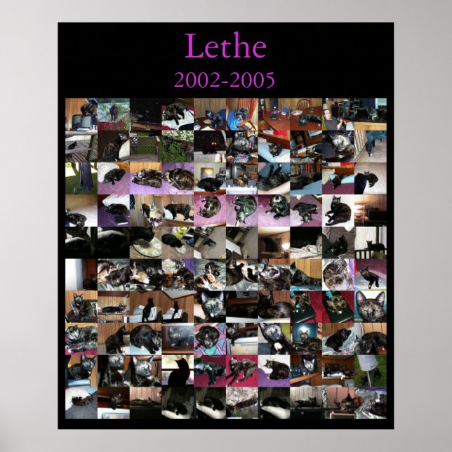 Póster Lethe (Frente)