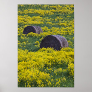 Póster Letonia, Letonia nororiental, región de Vidzeme,