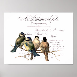 Póster Letra francesa vintage y aves