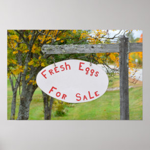 Póster Letrero de Huevos Frescos a la Venta en Vermont