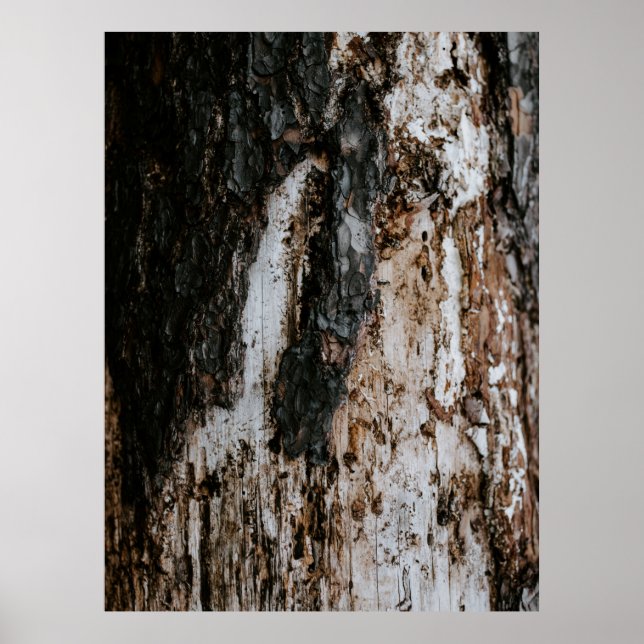 Póster Letrero de madera marrón (Frente)