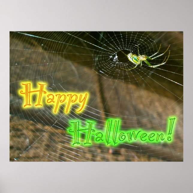 Póster Leucauge Orb Weaver Poster Halloween (Frente)