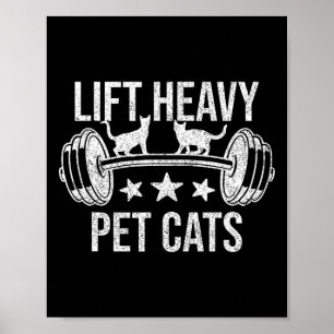 Póster Levantar Gatos Domésticos Pesados Culturismo Levan
