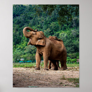 Póster Levantarse Y Ser Escuchado