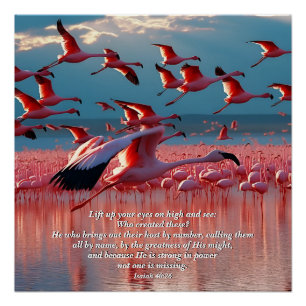 Póster Levanten sus ojos en alto, Dios y el Verso de la C