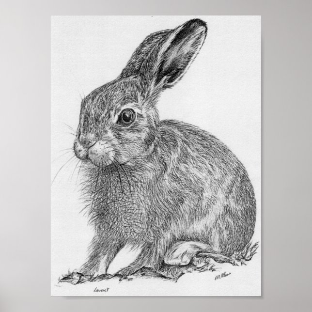 Póster Leveret (Frente)