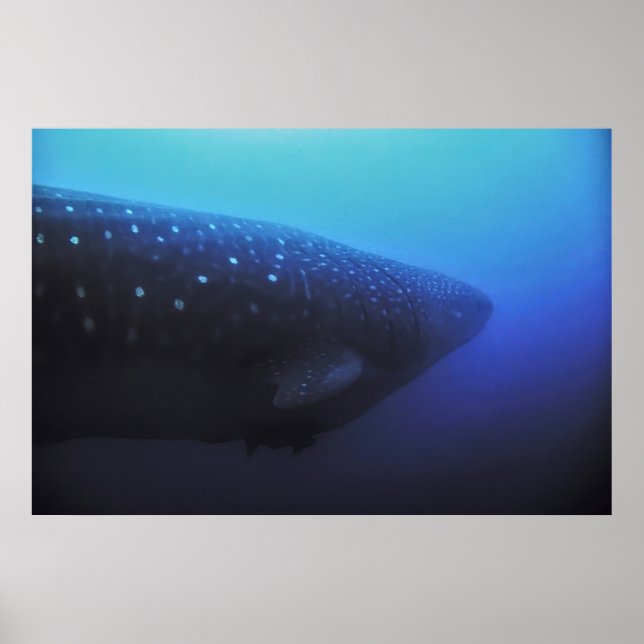 Póster Leviatán (Frente)