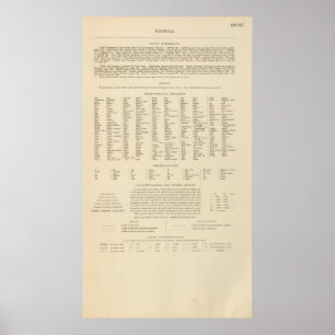 Póster Leyenda 16667 Australia