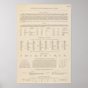 Póster Leyenda 7778 Yugoslavia