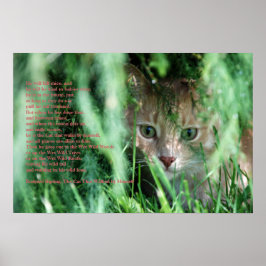 Póster Leyenda de la selva