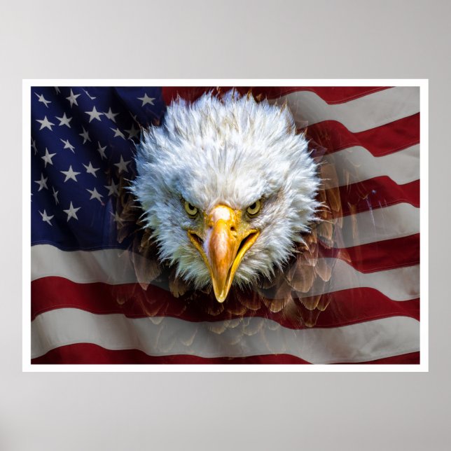 Póster Lg Extra. Poderoso Poster de la bandera del águila (Frente)