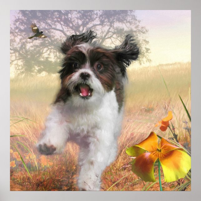 Póster Lhasa Apso Dog HIGH TAIL HOME (Frente)