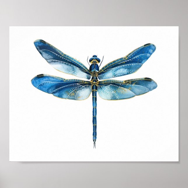Póster Libélula azul  (Frente)