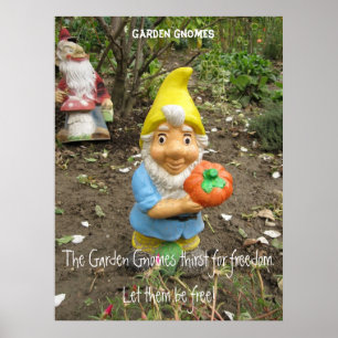 Póster Liberen a los gnomos del jardín